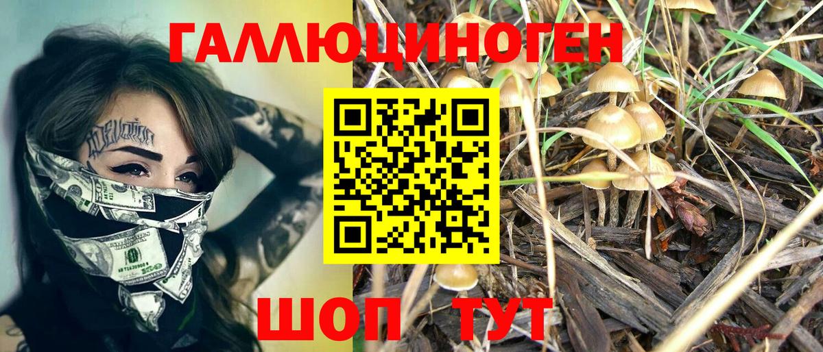 Псилоцибиновые грибы MAGIC MUSHROOMS Среднеуральск